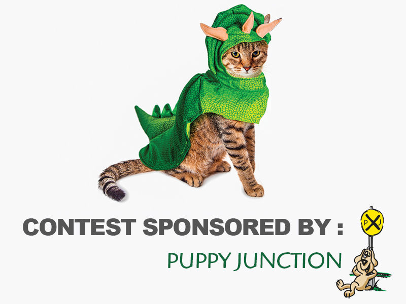 Contest Sponsor